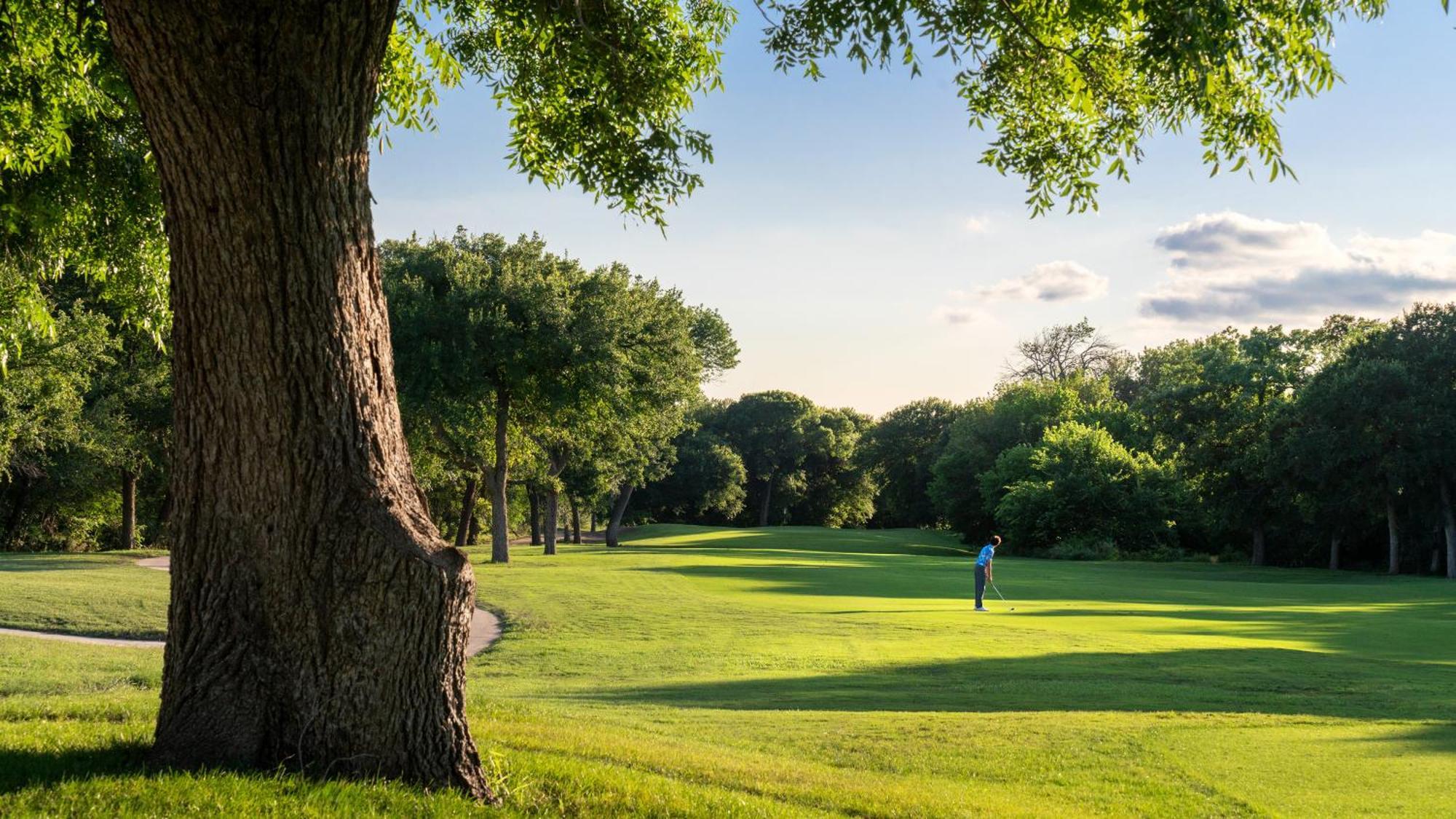 Dallas/Fort Worth Marriott Hotel & Golf Club At Champions Circle Roanoke Exteriér fotografie